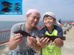 平磯海釣り公園　落とし込みでアイナメ＆ガシ…