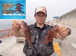 平磯海づり公園 投げ釣りでベラ・アイナメ・…