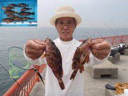 平磯海づり公園　胴突仕掛にガシラ・アイナメ