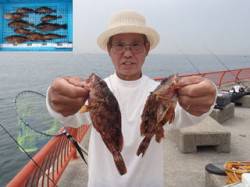 平磯海づり公園　胴突仕掛にガシラ・アイナメ…