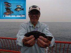 平磯海づり公園　落とし込みでメバル・ガシラ