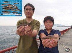 平磯海づり公園　ファミリーで投げ釣りの釣果