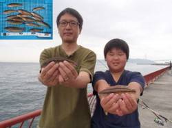 平磯海づり公園　ファミリーで投げ釣りの釣果…