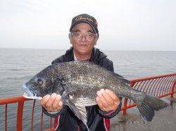 お見事！年無しチヌ！投げ釣りにて　平磯海づり公園