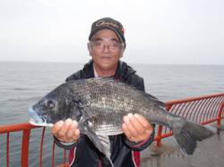 お見事！年無しチヌ！投げ釣りにて　平磯海づ…