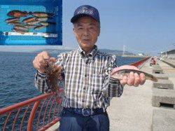 平磯海づり公園　投げ釣りでベラ・ガシラの釣果