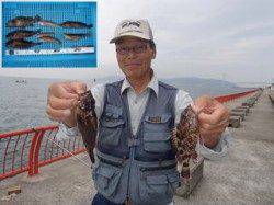 平磯海づり公園 青虫をエサにガシラ・ベラ・アイナメ