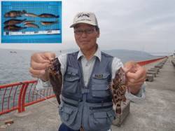 平磯海づり公園　青虫をエサにガシラ・ベラ・…