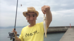 活性バリ高で真っ黒のアオリちゃん捕獲完了♪