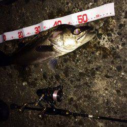 1.7lbのメバリングタックルでシーバスをキャッチ！