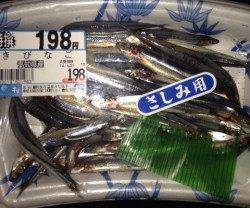 アジュール舞子の大サバ、この休日の狙い目です