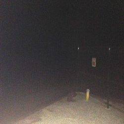 梅雨メバル求めて〜須磨でのメバリング