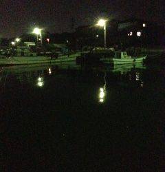 鳥取ノ荘にてアジング〜アジはあたらずメバルの釣果