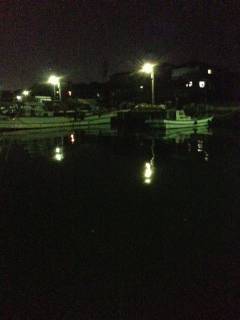 鳥取ノ荘にてアジング〜アジはあたらずメバルの釣果