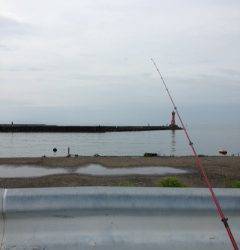 深日でライトジギング〜小サバの大群がいました