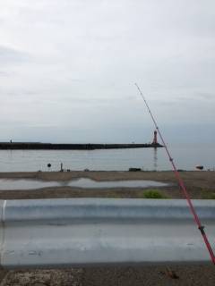 深日でライトジギング〜小サバの大群がいました