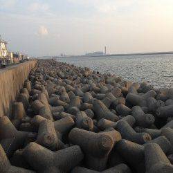 アコウ狙いで忠岡ホクシン前テトラへ〜なかなかの重量感！