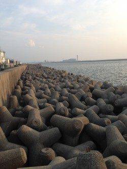 アコウ狙いで忠岡ホクシン前テトラへ〜なかなかの重量感！