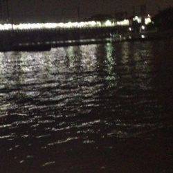 武庫川河口　ぶっこみでウナギ・キビレの釣果