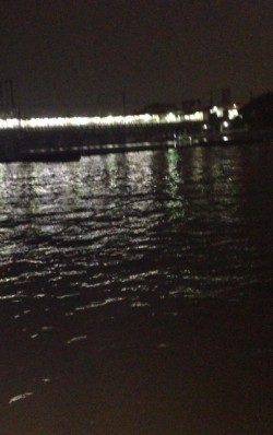 武庫川河口　ぶっこみでウナギ・キビレの釣果