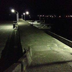 加太でアジング2時間半で5匹〜渋かったです