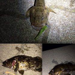 神戸港近辺にキビレ狙い釣行〜2lbラインで良型と格闘！