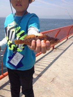 平磯海づり公園でチャリコとアイナメ、マダイはまさかのバラシ・・・