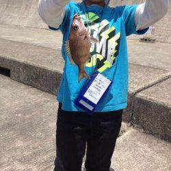 平磯海づり公園でチャリコとアイナメ、マダイはまさかのバラシ・・・