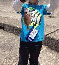 平磯海づり公園でチャリコとアイナメ、マダイはまさかのバラシ・・・