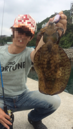 活性バリ高で真っ黒のアオリちゃん捕獲完了♪…