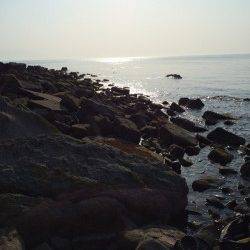 谷川漁港　日中の穴釣り感覚のメバリングでムラソイ