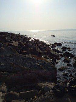 谷川漁港　日中の穴釣り感覚のメバリングでムラソイ