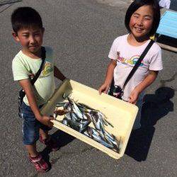 釣り公園でファミリーフィッシング♪イワシに豆アジ