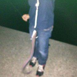 林崎漁港　イカの切り身でアナゴ狙い