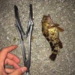 活性高し！鳥取ノ荘で根魚ゲーム！