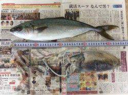 武庫川尻一文字　イカはイマイチながらもジグでハマチゲット