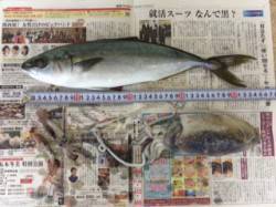武庫川尻一文字　イカはイマイチながらもジグ…