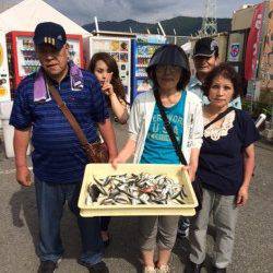 海釣り公園でサビキ釣り！豆アジにイワシ釣れています