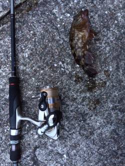 鳥取ノ荘にてライトワインド〜ハゼの猛攻でガ…