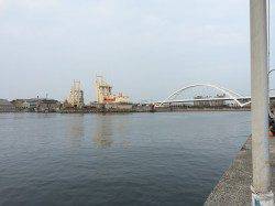 岸和田周辺釣行〜ライトワインドでハゼ爆釣