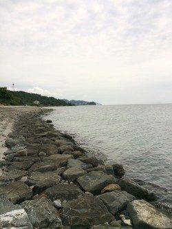 江尻　近投でもキスのアタリ☆