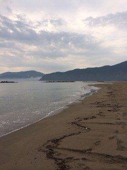 由良川河口　投げのキス釣りは朝7時頃に時合い