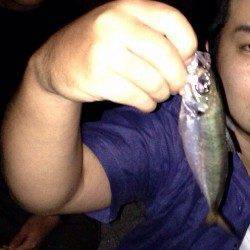 大阪南港周辺でアジング〜何とか数も釣れて満足☆