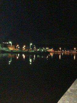 活性高し！鳥取ノ荘で根魚ゲーム！