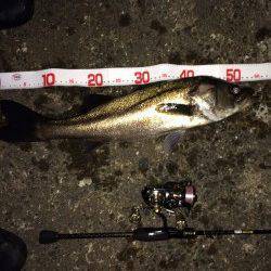 1.7lbのメバリングタックルでシーバスをキャッチ！