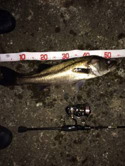 1.7lbのメバリングタックルでシーバスを…