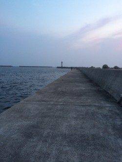 青岸でのサビキ釣行〜20cmのアジ短時間の回遊あり