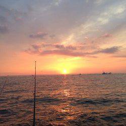 磯のダンプカー！タマミ！【yamagoon氏　連載記事】