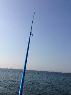 樽井にて引き釣り〜アベレージサイズのキス釣れました