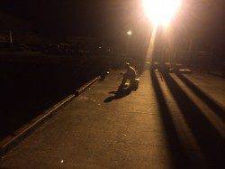 アジ爆釣の連絡を受けるも… 助松でのサビキ釣果